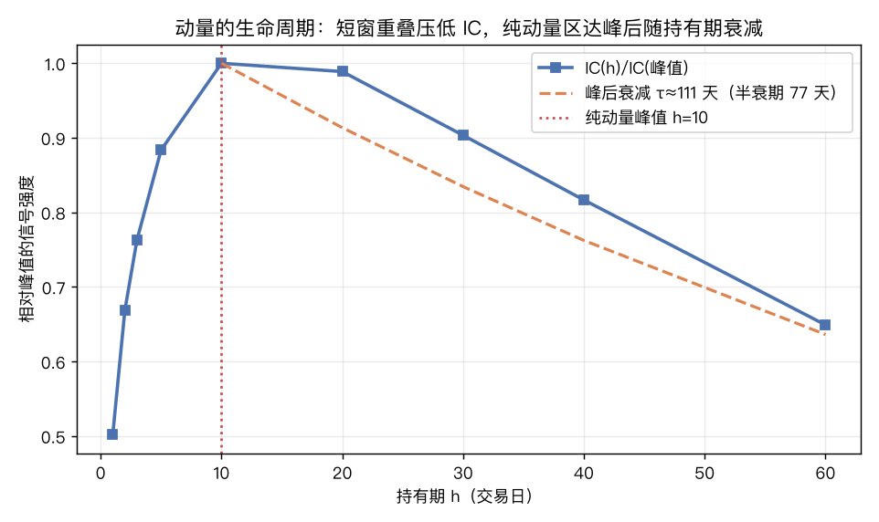 归一化到峰值的信号生命周期:峰值在 h=10,之后以约 77 天半衰期滚动衰减
